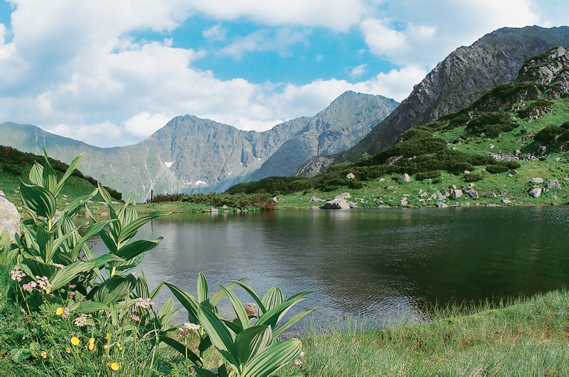 Cestovnému ruchu