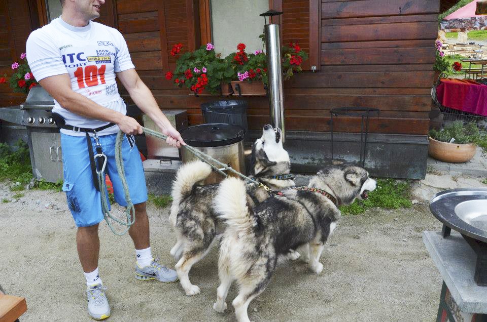 Kysucký dogtrekking