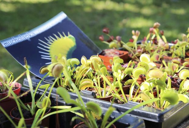 Človek a príroda v Múzeu slovenskej dediny