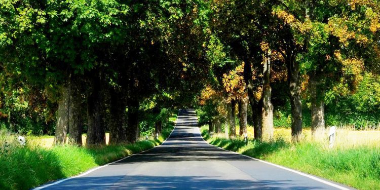 Rezortu dopravy a výstavby záleží na zelených opatreniach