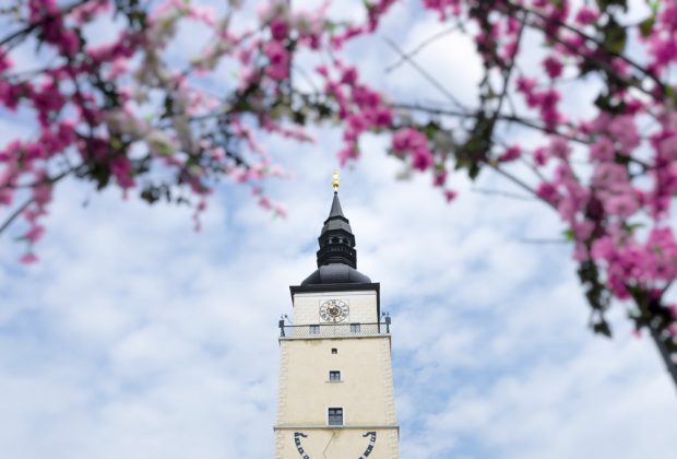 Mestská veža Trnava a jej hodiny