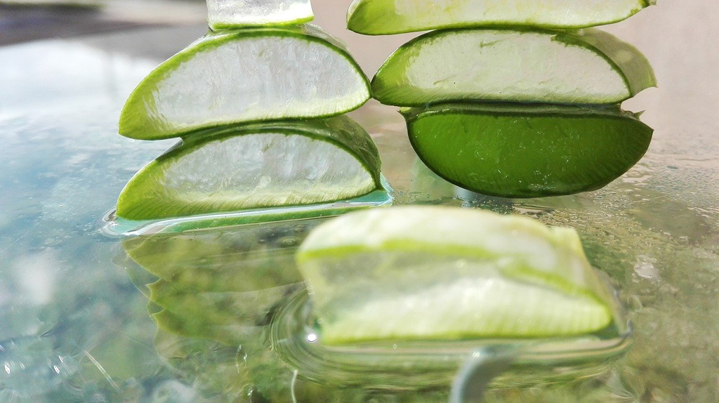 Bylinky a zelené vitamíny na očistu organizmu_Aloe vera