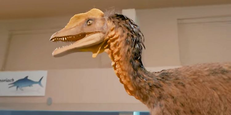 Prírodovedné múzeum – objavte kosti dinosaurov v centre mesta Bratislavy
