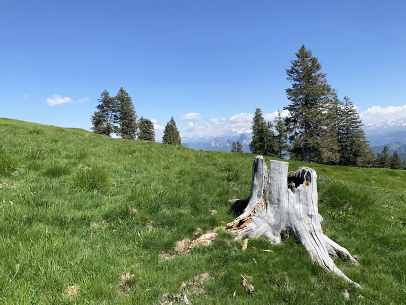 Záhorák na cestách, Rigi – kráľovná hôr vo Švajčiarsku