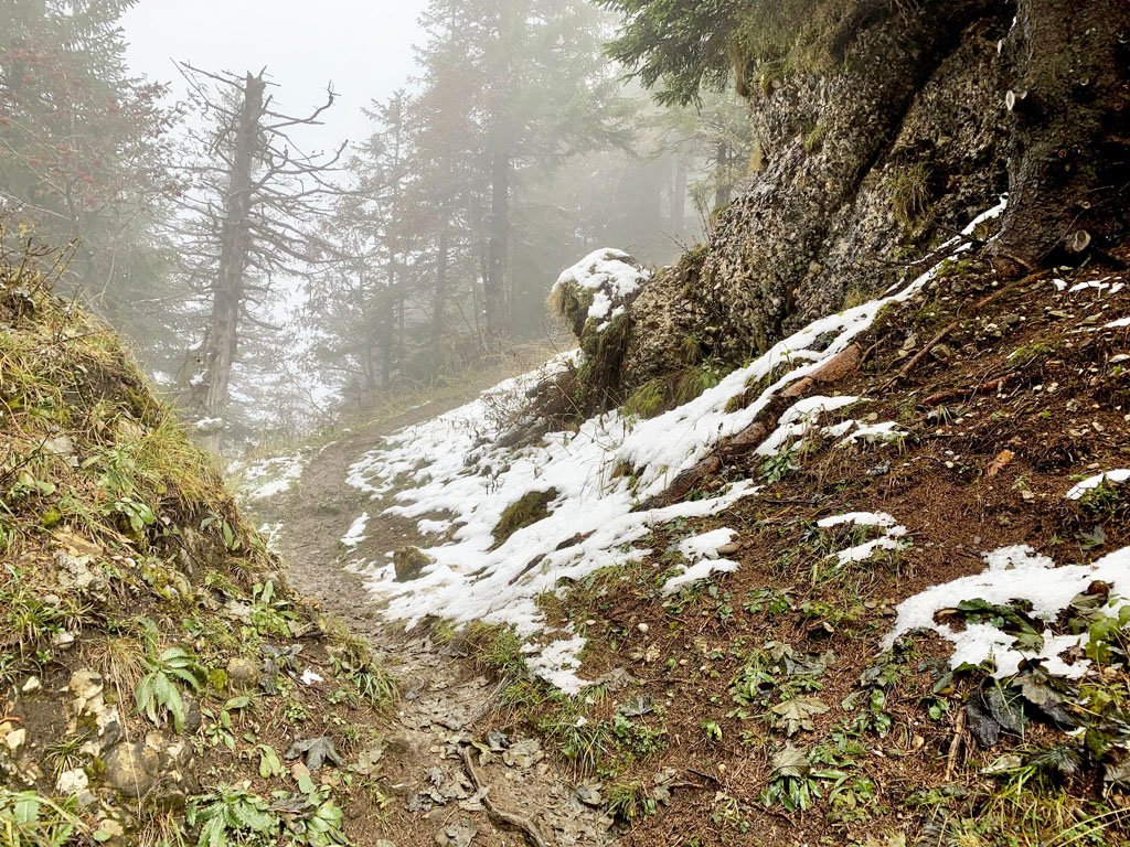 Hirzli - sneh, blato, reťaze a 3-hodinové kolečko s prevýšením okolo 700 m, Zahorak na cestach