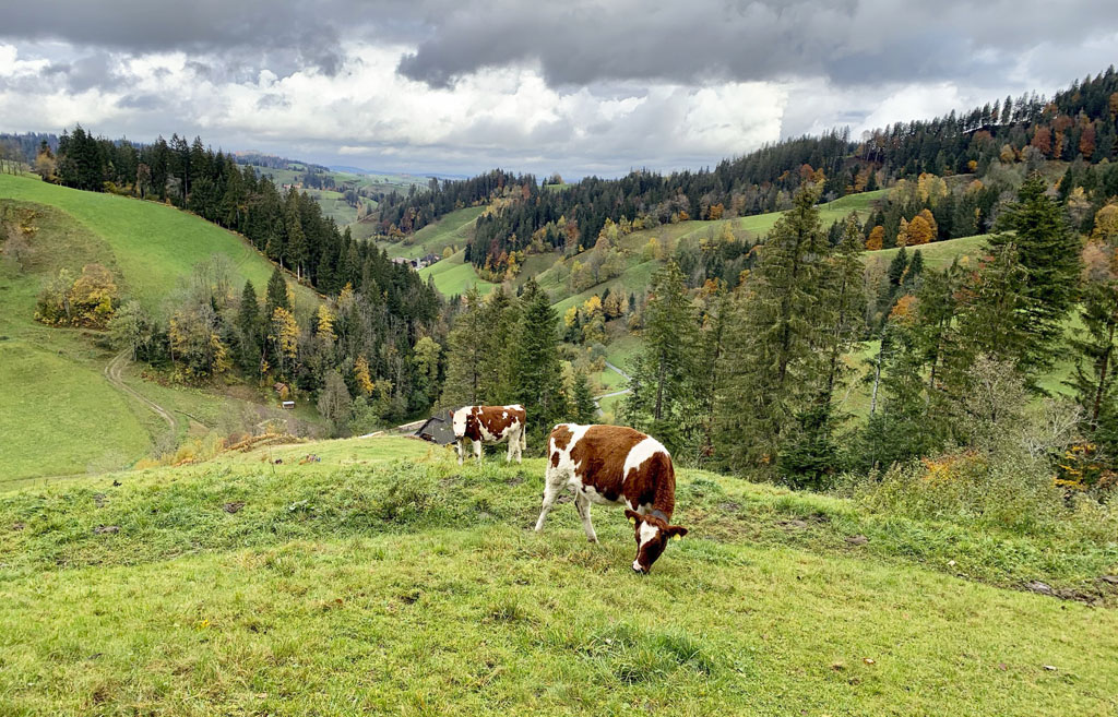 Napf vo dvojici - Záhorák na cestách VI, región Entlebuch, Švajčiarsko