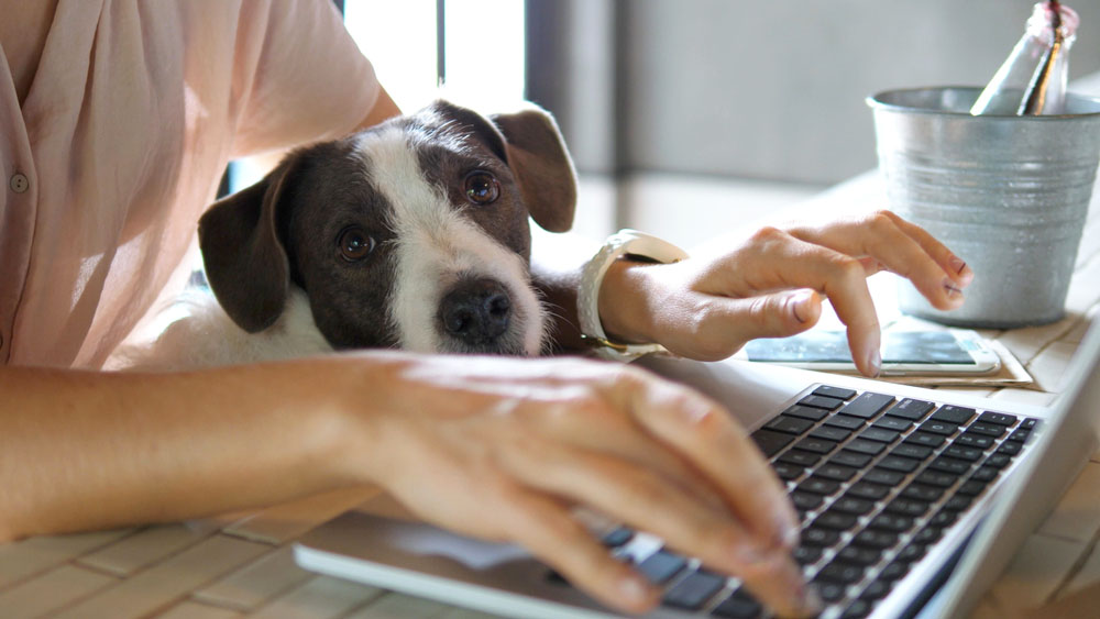 Ako skĺbiť zdravý životný štýl a prácu z domu home office