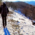 Raritné vrchy – dvojičky Kozlica a Trniny v pohorí Tribeč, turistika a výlet Nitriansky kraj