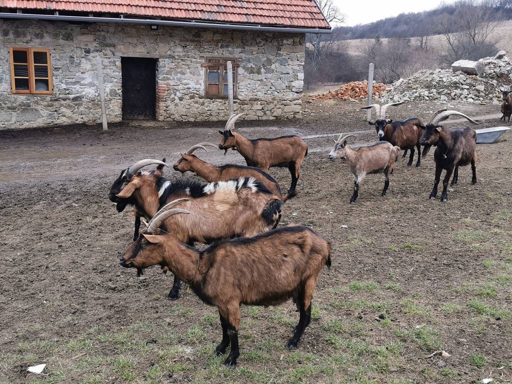 zrúcanina Sklabinsky hrad - OZ Donjon - rekonštrukcia hradov, Na potulkách v Turci. Zrúcaniny Sklabinského hradu ponúkajú námety na radosť z maličkostí