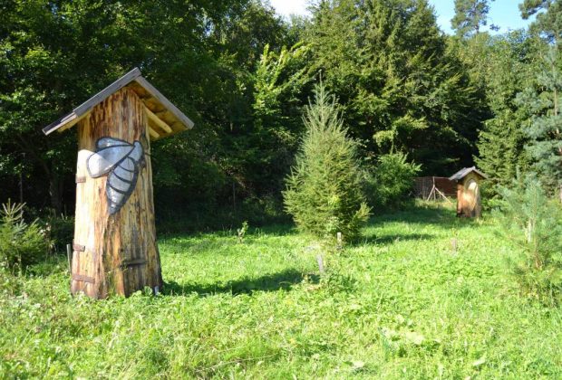 Na hranici národného parku sa usadili Včely raja. Budú zabávať, vzdelávať i liečiť aj vás