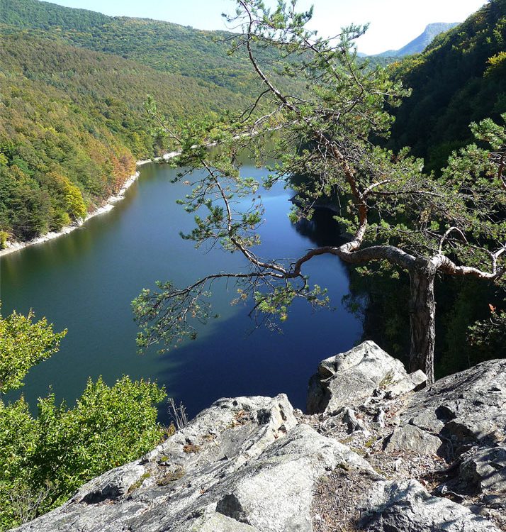 Morské oko, Vihorlat