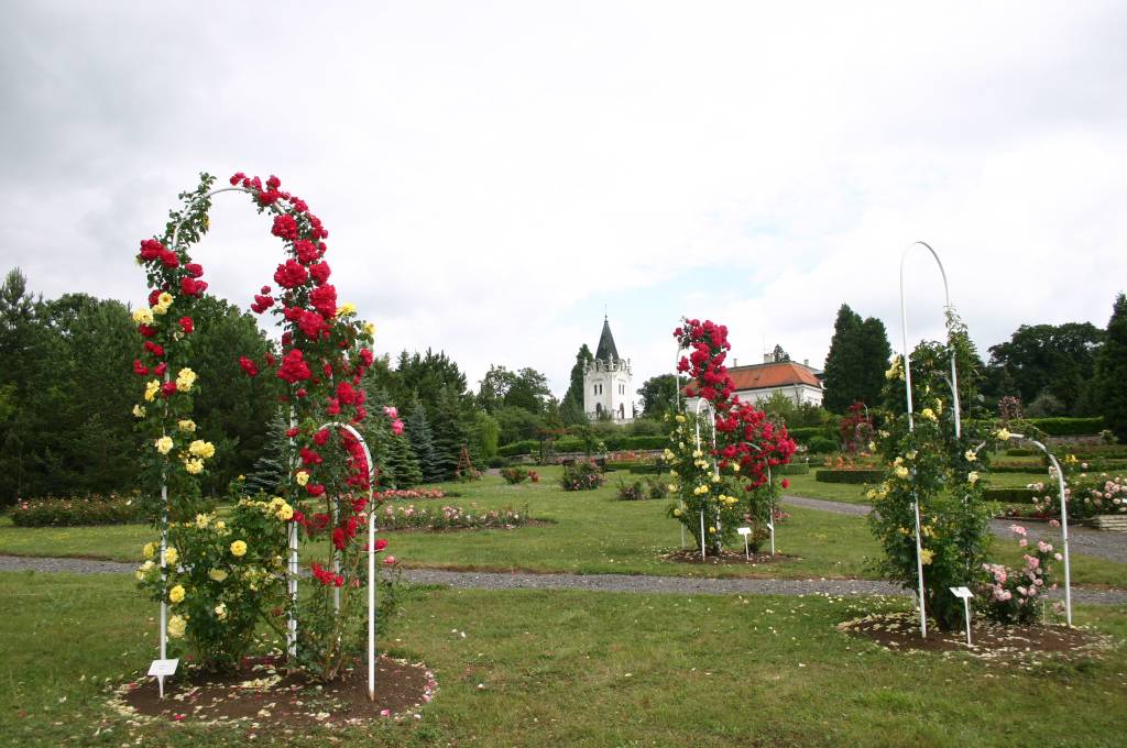 Arborétum Mlyňany, informácie o Slovensku, cestovanie, kultúra, tradície, enviro, regióny