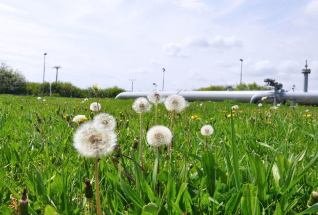 SPNZ, Eustream, lexikon.sk