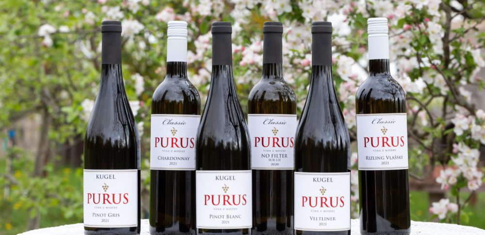 PURUS, víno, lexikon.sk