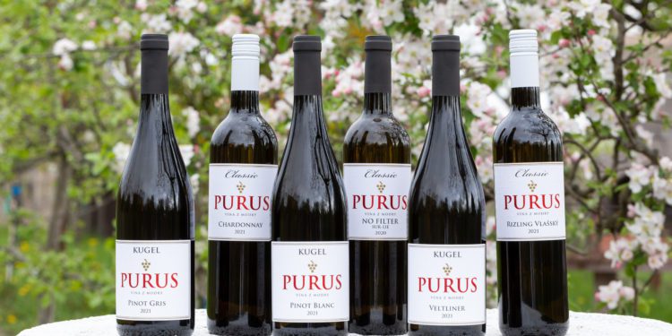 PURUS, víno, lexikon.sk