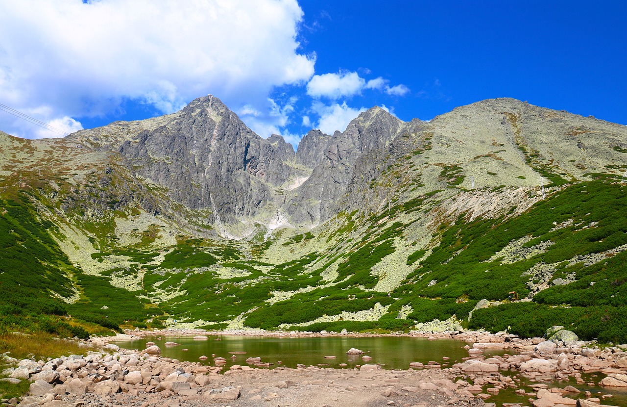 Akvizícia Tatry